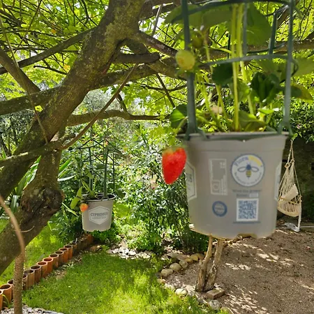 Cantinho Da Paz Peacefull Haven Абрантиш