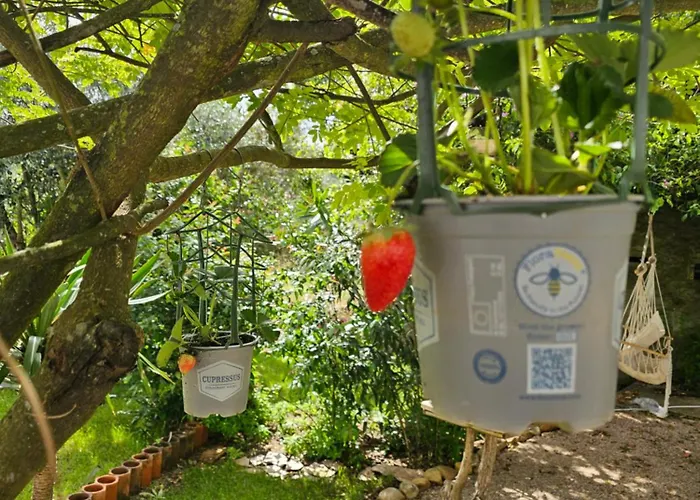 Cantinho Da Paz Peacefull Haven אברנטש